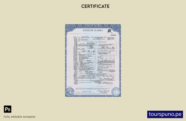 Plantilla de certificado de defunción del estado de Alaska de EE. UU. lista para